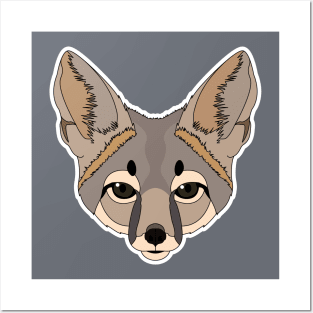 Kit fox Posters and Art